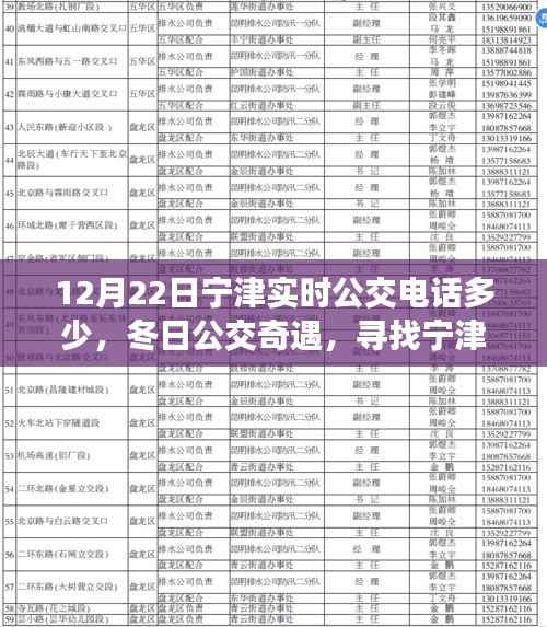 冬日宁津公交奇遇,寻找实时热线,体验温暖的公交服务