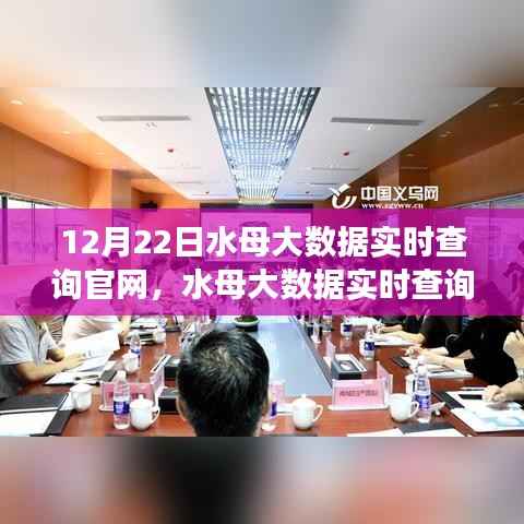 水母大数据实时查询官网,发展历程与深远影响,12月22日最新动态解析