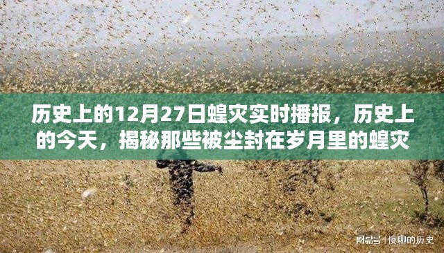 历史上的蝗灾瞬间,揭秘尘封岁月中的12月27日蝗灾实时播报