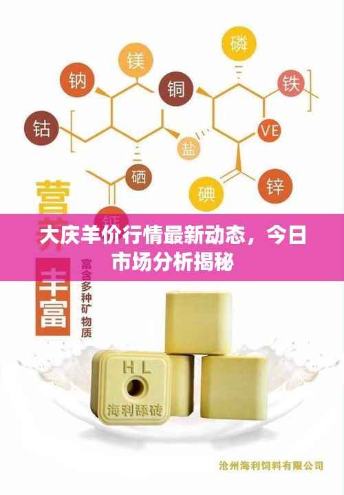 大庆羊价行情最新动态,今日市场分析揭秘
