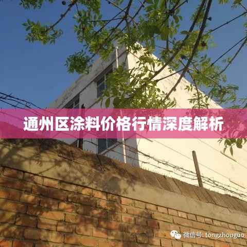 通州区涂料价格行情深度解析