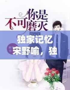 独家记忆宋野喻,独家记忆小说番外有学生暗恋