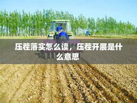 压茬落实怎么读,压茬开展是什么意思