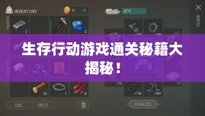 生存行动游戏通关秘籍大揭秘!