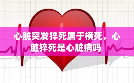 心脏突发猝死属于横死,心脏猝死是心脏病吗