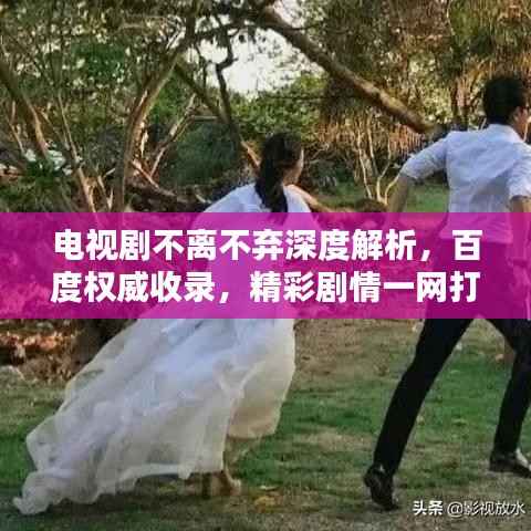 电视剧不离不弃深度解析,百度权威收录,精彩剧情一网打尽!
