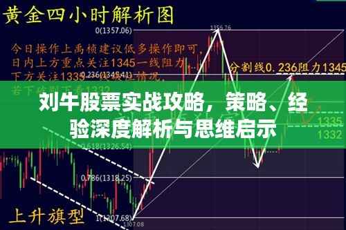 刘牛股票实战攻略，策略、经验深度解析与思维启示