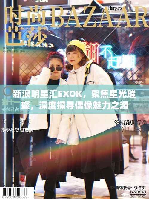新浪明星汇EXOK,聚焦星光璀璨,深度探寻偶像魅力之源