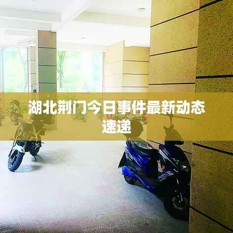湖北荆门今日事件最新动态速递