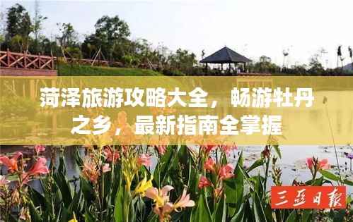 菏泽旅游攻略大全,畅游牡丹之乡,最新指南全掌握