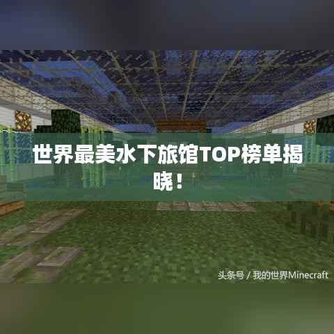 世界最美水下旅馆TOP榜单揭晓!
