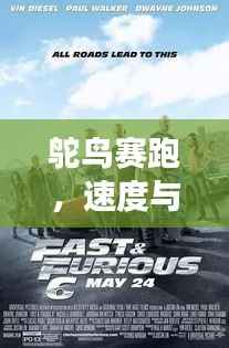 鸵鸟赛跑,速度与优雅的激情竞技之旅