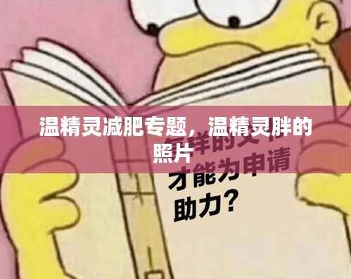 温精灵减肥专题,温精灵胖的照片