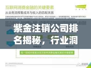 紫金注销公司排名揭秘,行业洞察与深度分析