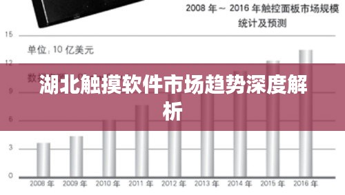 湖北触摸软件市场趋势深度解析