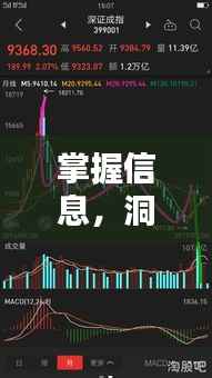 掌握信息,洞悉当下行情走势!