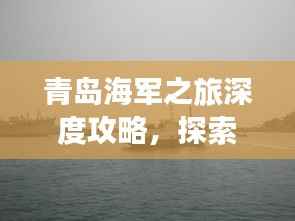 青岛海军之旅深度攻略,探索城市魅力与海军风采
