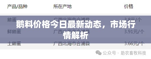 鹅料价格今日最新动态,市场行情解析