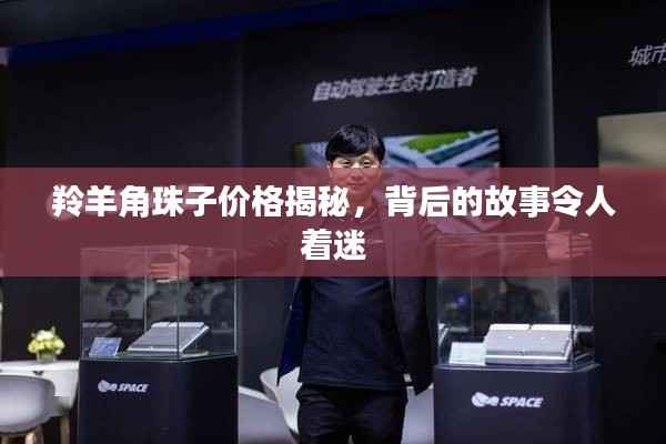 羚羊角珠子价格揭秘,背后的故事令人着迷