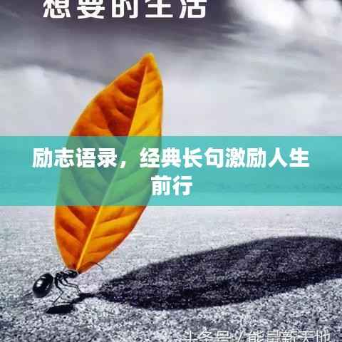 励志语录,经典长句激励人生前行