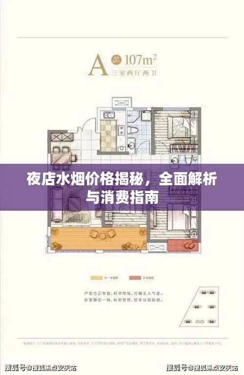夜店水烟价格揭秘,全面解析与消费指南