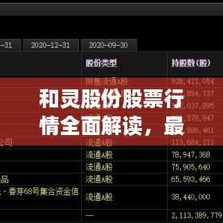 和灵股份股票行情全面解读,最新动态、走势分析与投资建议