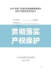 贯彻落实产权保护,产权保护机制