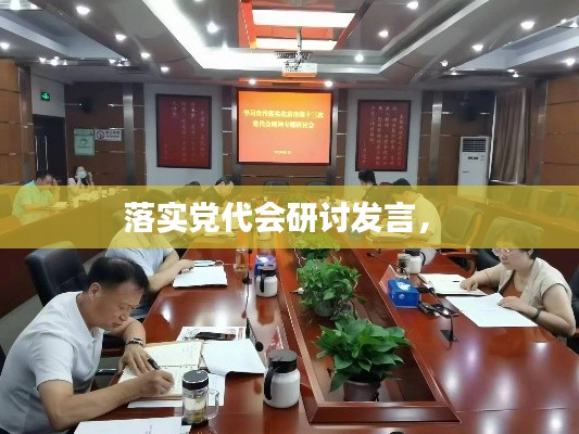 落实党代会研讨发言,