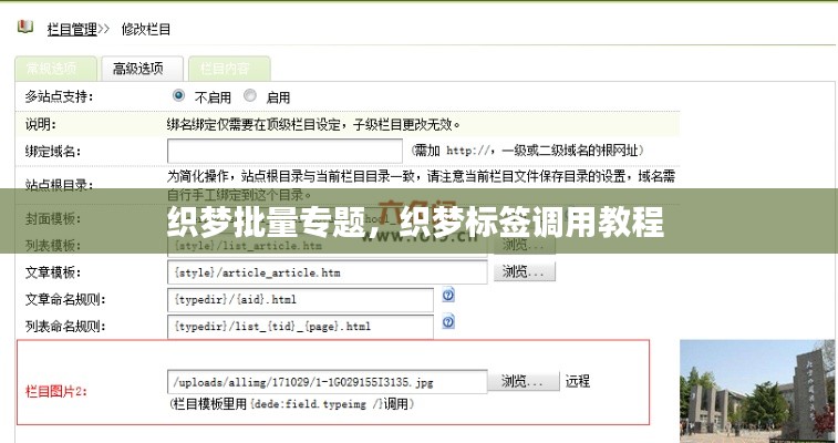 织梦批量专题,织梦标签调用教程