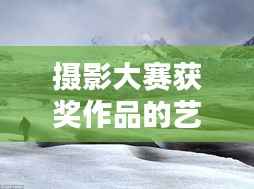摄影大赛获奖作品的艺术魅力与创作探索