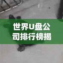 世界U盘公司排行榜揭晓,行业巨头一览无余!