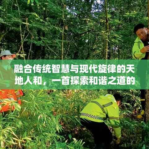 融合传统智慧与现代旋律的天地人和,一首探索和谐之道的歌曲