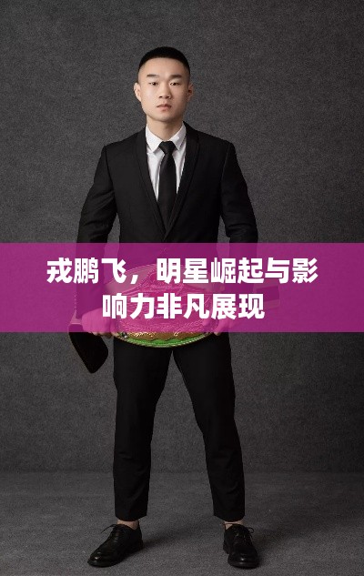 戎鹏飞,明星崛起与影响力非凡展现